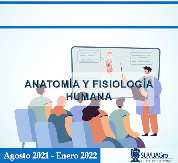 Anatomía y fisiología humana